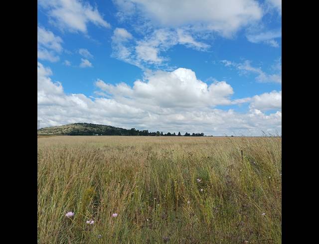 8.50HA VACANT LAND FOR SALE IN STERKFONTEIN AH